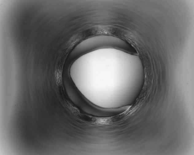 X0000099230096200804241238