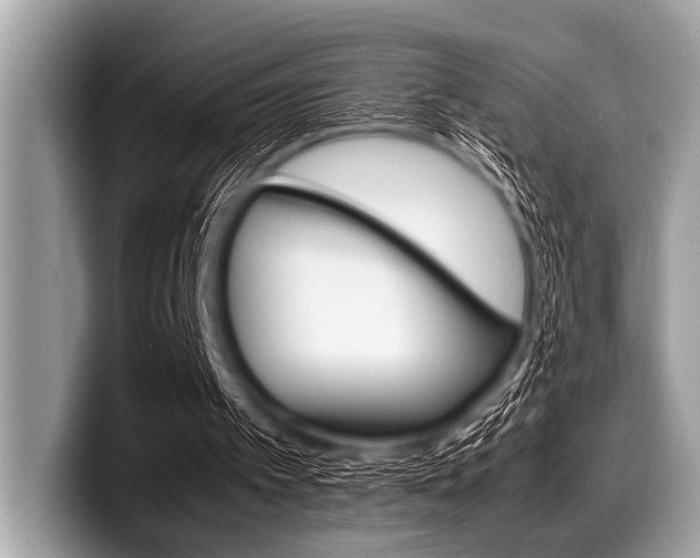 X0000099230097200804241237