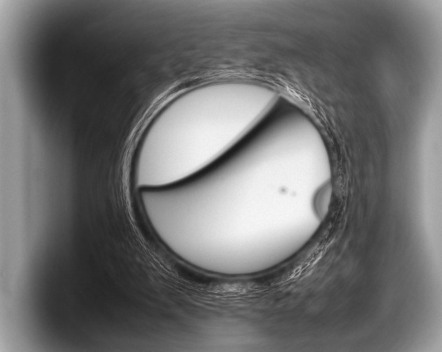 X0000099230103200804241237