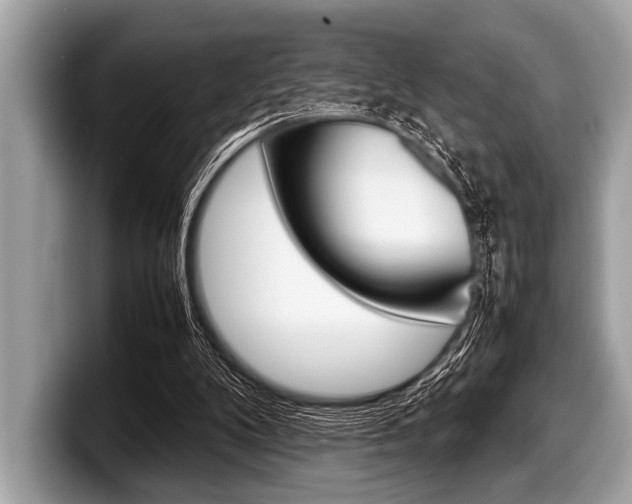 X0000099230104200804241237