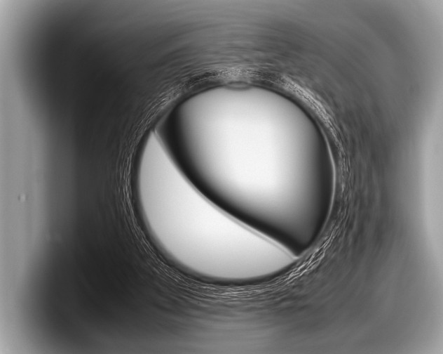 X0000099230105200804241237
