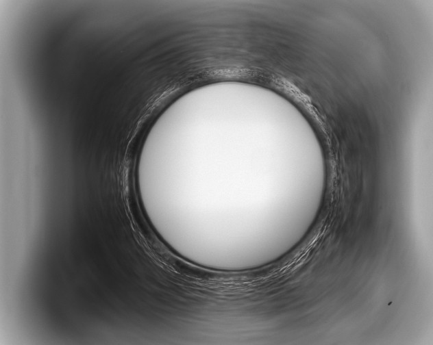X0000099230106200804241237