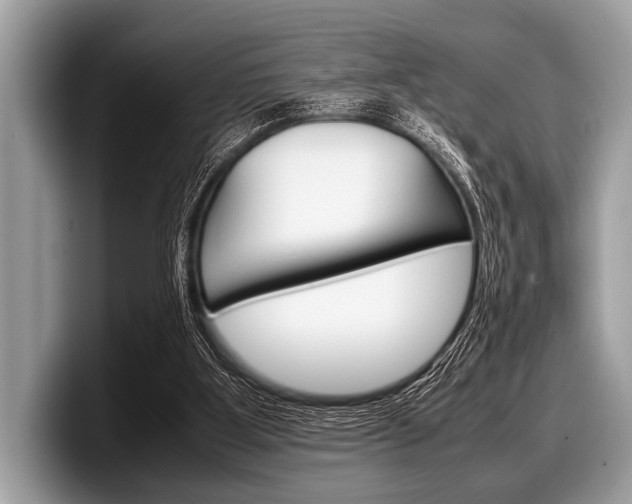 X0000099230107200804241237