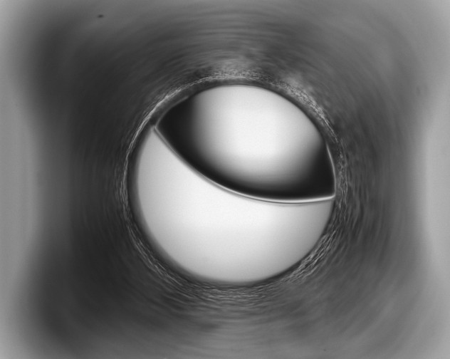 X0000099230108200804241237