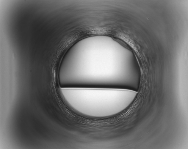 X0000099230109200804241237