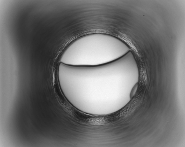 X0000099230110200804241237