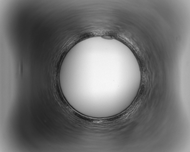 X0000099230117200804241237