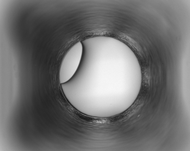 X0000099230118200804241237