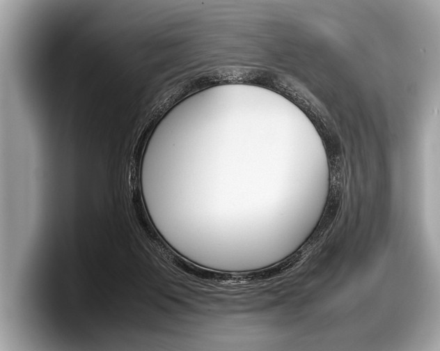 X0000099230119200804241237