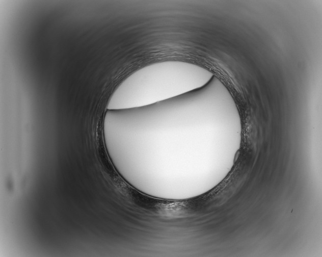 X0000099230122200804241237