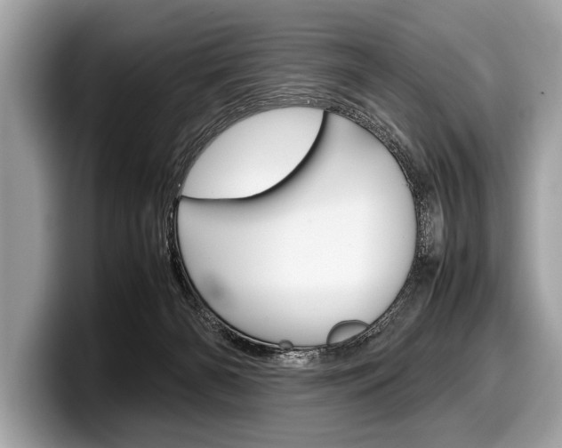 X0000099230126200804241237