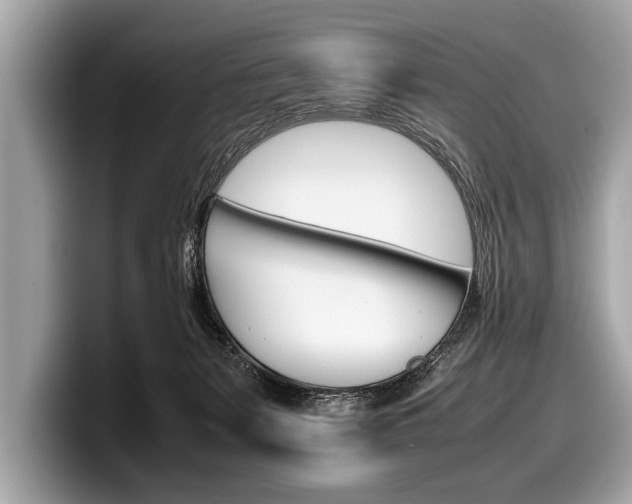 X0000099230127200804241237