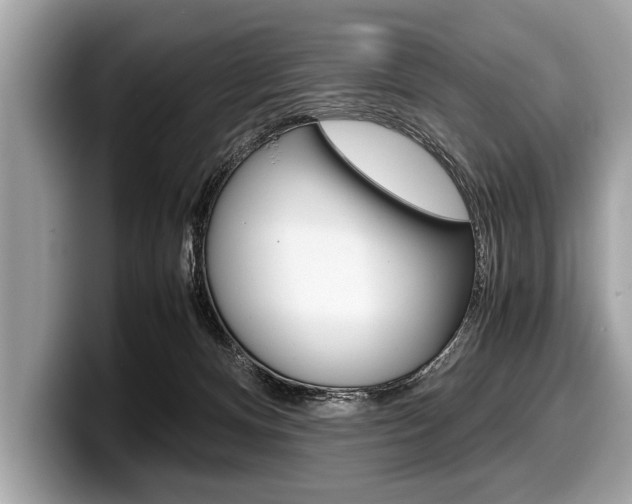 X0000099230128200804241237