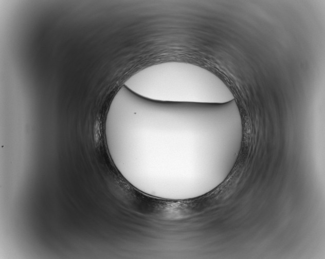 X0000099230130200804241237