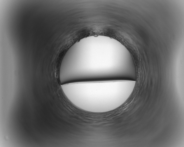 X0000099230135200804241237