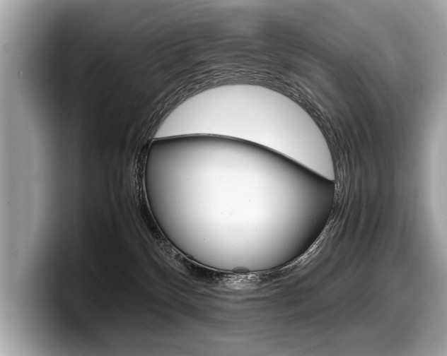 X0000099230136200804241237