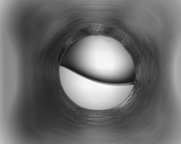 X0000099230140200804241237