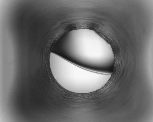 X0000099230141200804241237