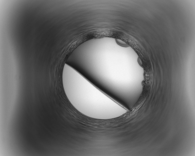 X0000099230143200804241237