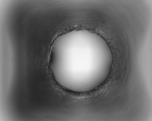 X0000099230144200804241237