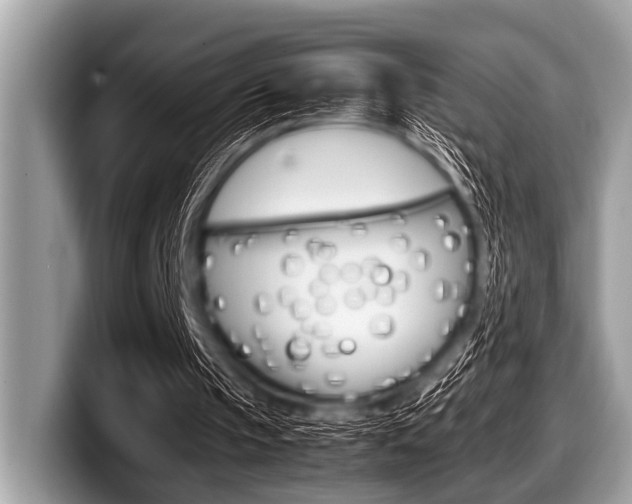 X0000099230145200804241236
