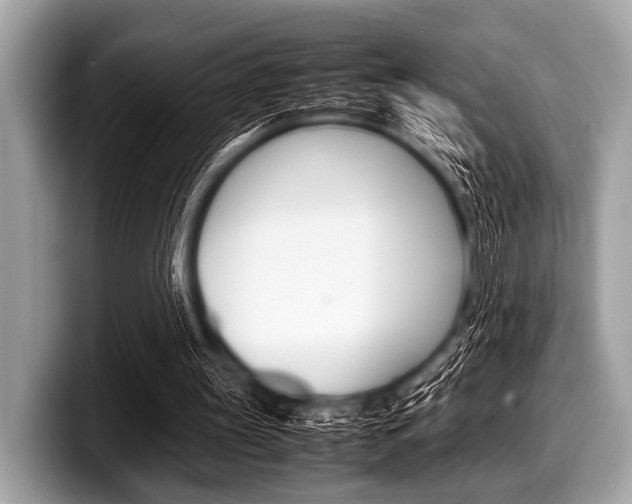 X0000099230147200804241236
