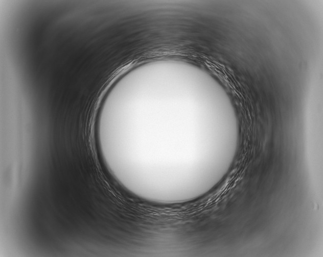 X0000099230148200804241236