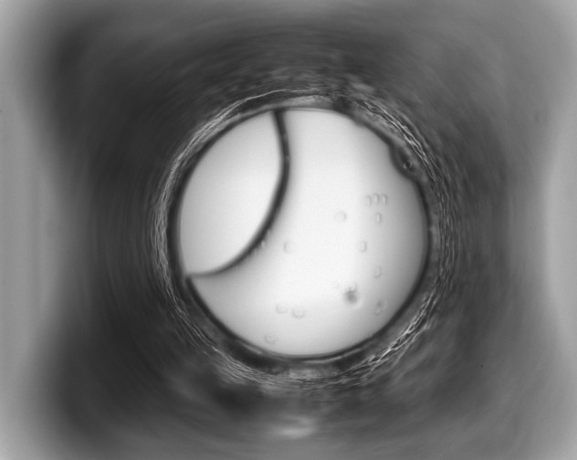 X0000099230149200804241236