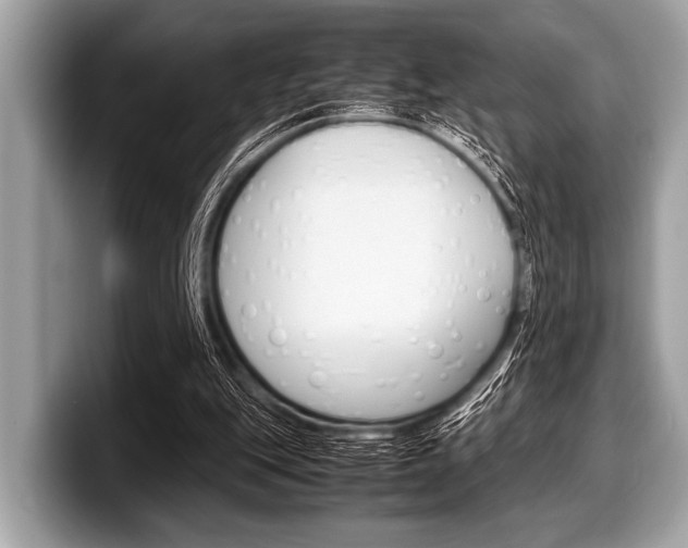 X0000099230151200804241236