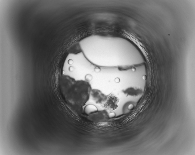 X0000099230153200804241236