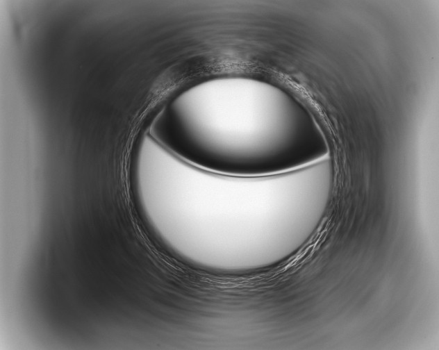 X0000099230154200804241236
