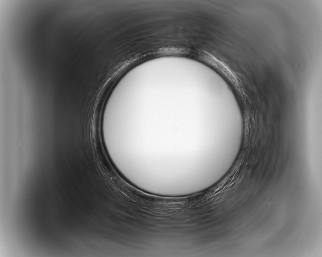 X0000099230155200804241236