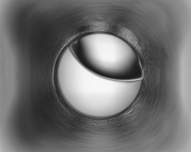 X0000099230156200804241236