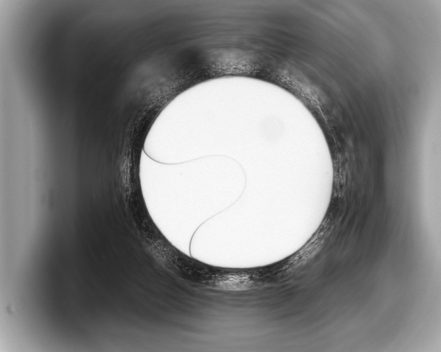 X0000099230162200804241236