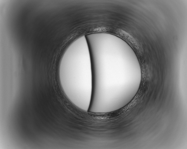 X0000099230163200804241236