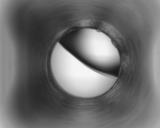 X0000099230164200804241236