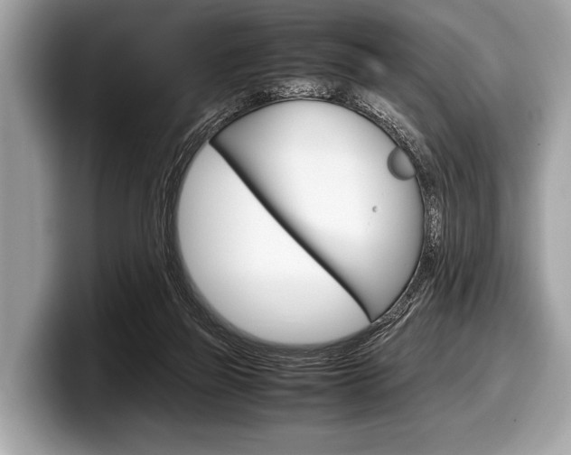 X0000099230165200804241236