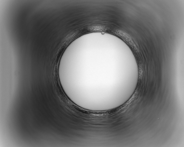 X0000099230167200804241236