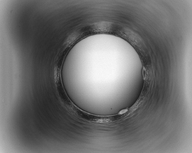 X0000099230168200804241236