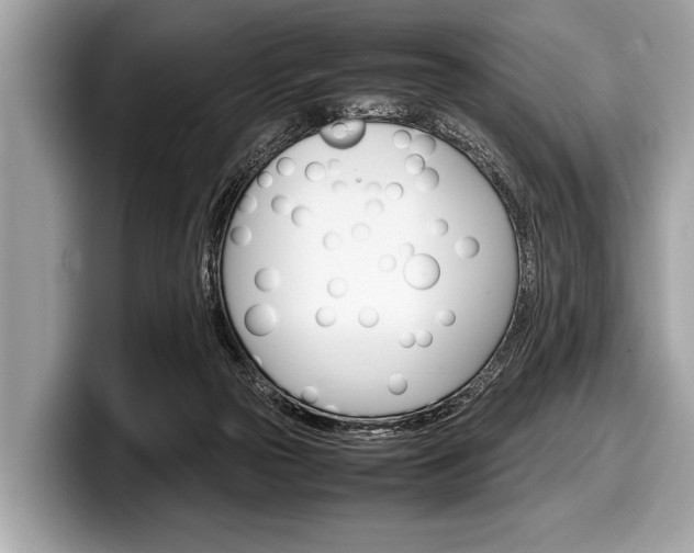 X0000099230169200804241236