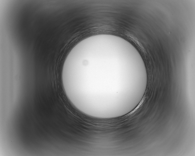 X0000099230170200804241236