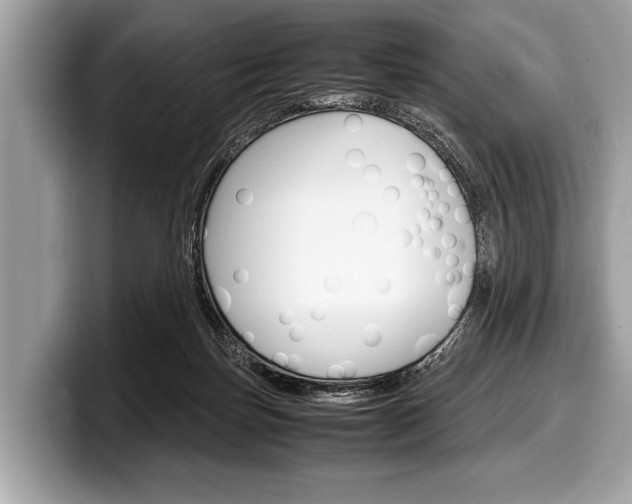 X0000099230171200804241236