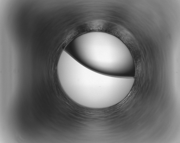 X0000099230172200804241236