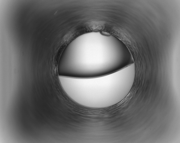 X0000099230176200804241237