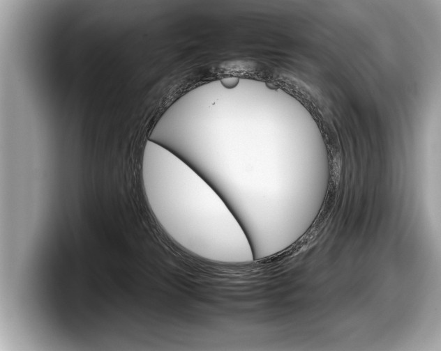X0000099230181200804241237