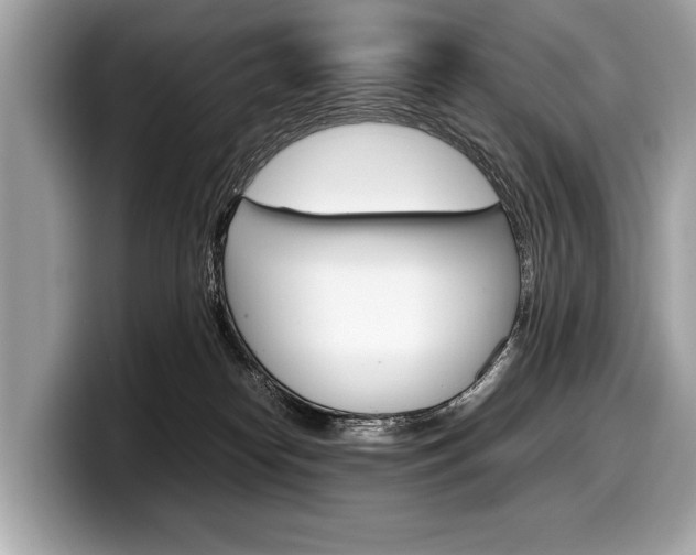 X0000099230182200804241237