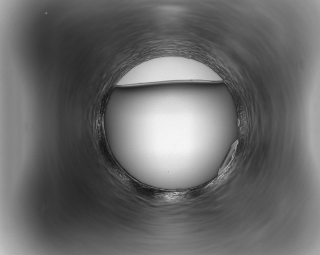 X0000099230184200804241237