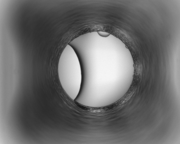 X0000099230185200804241237