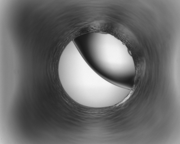 X0000099230186200804241237