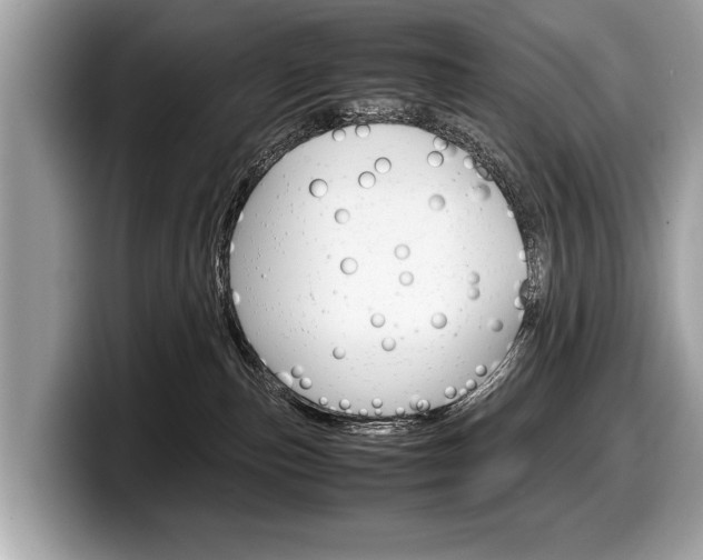 X0000099230187200804241237